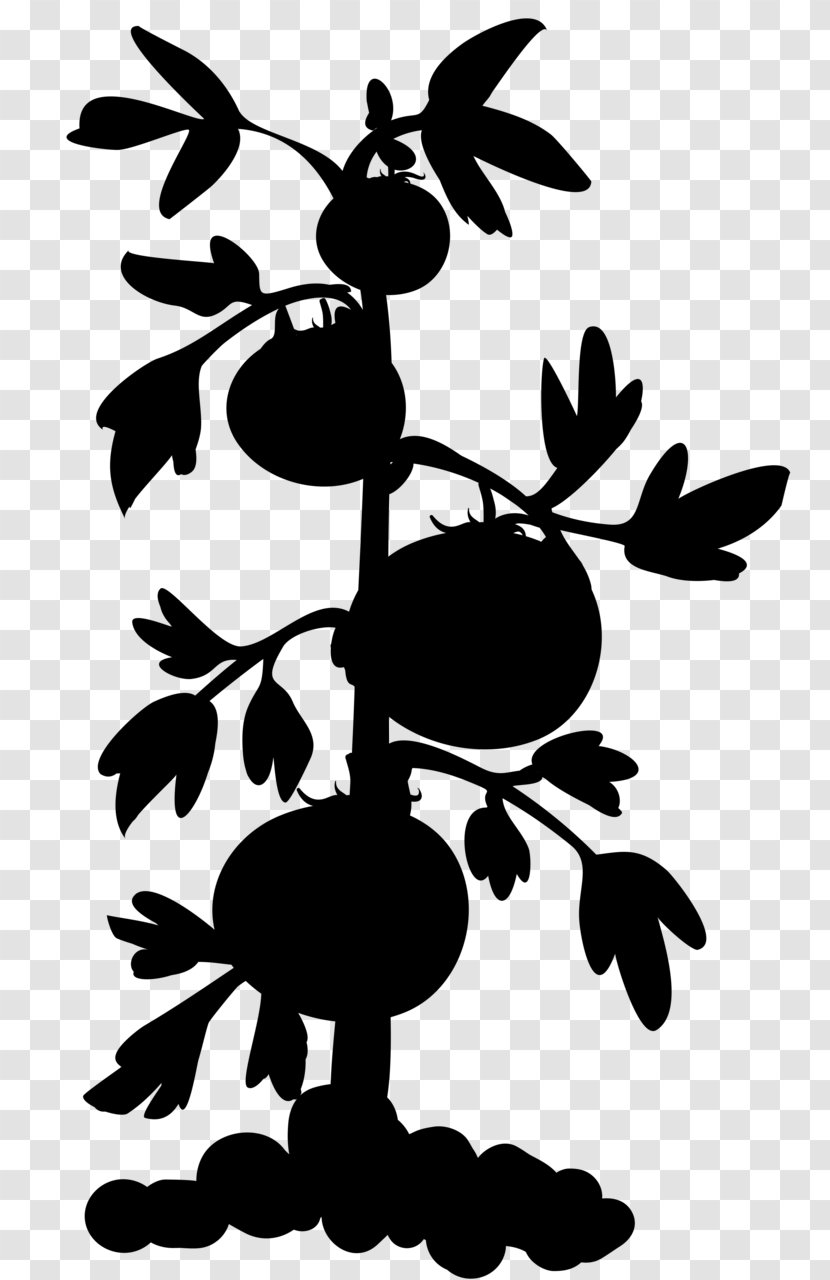 Clip Art Plants Grape Watermelon Fruit - Botany Transparent PNG