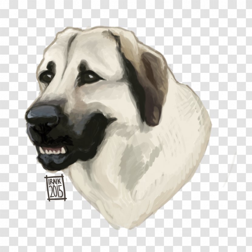 Dog Breed Snout Crossbreed Transparent PNG