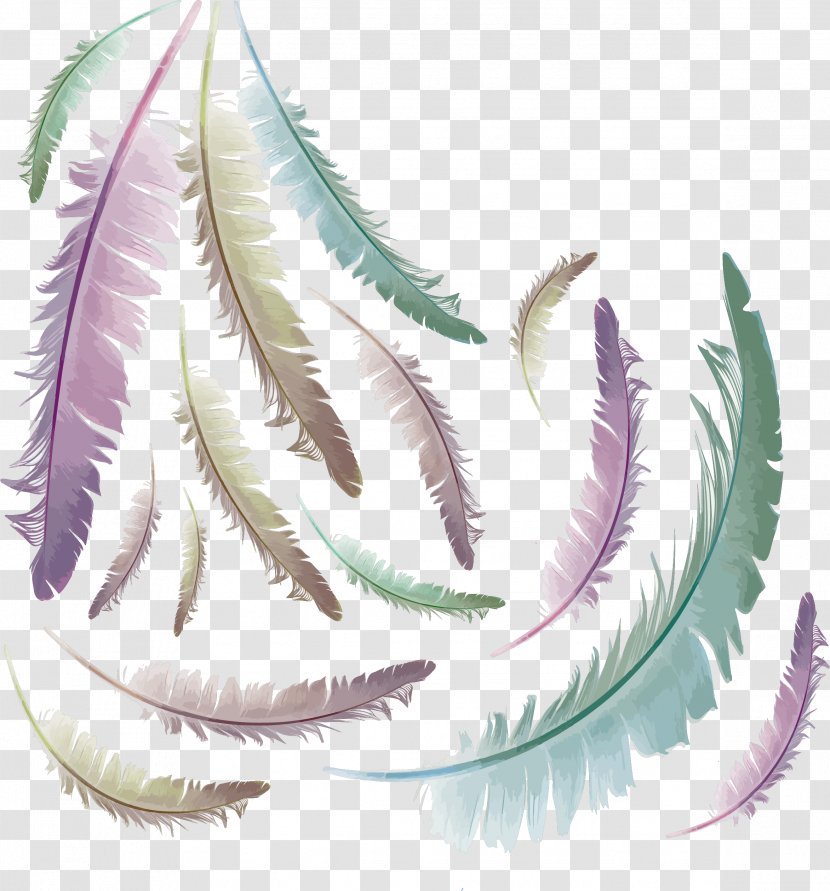 Feather Euclidean Vector Computer File - Color - Gradient Fine Feathers Transparent PNG