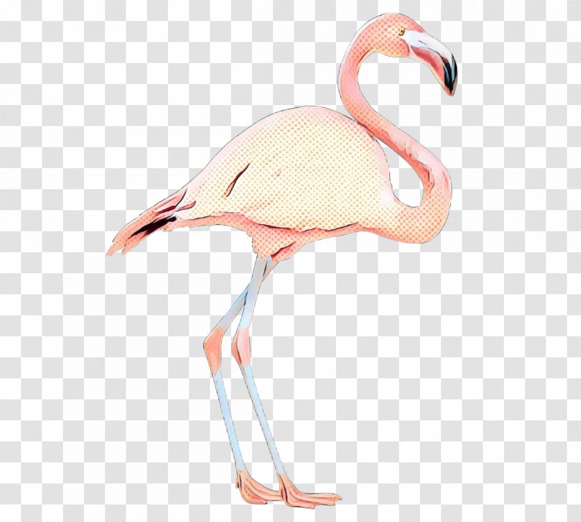 Neck Beak - Wildlife - Pink Transparent PNG