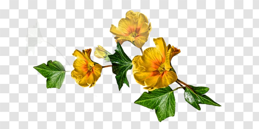 Alstroemeriaceae Rose Family Cut Flowers - Phere Ornament Transparent PNG