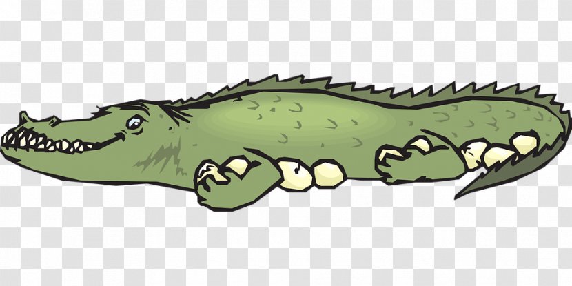 Alligators Crocodile Design Animal Cartoon - Reptile Transparent PNG
