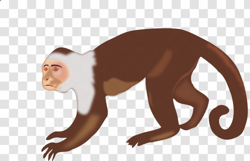 Capuchin Monkey White-headed Brown Spider Clip Art - Fauna Transparent PNG