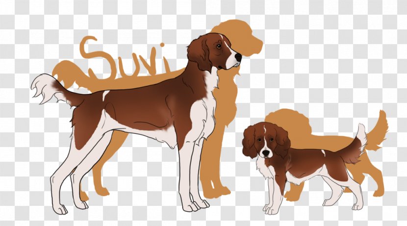 Dog Breed English Foxhound American Beagle Koolie - Carnivoran - Mammal Transparent PNG