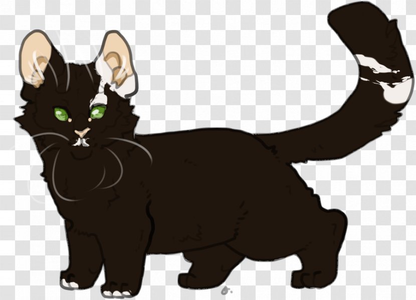 Black Cat Manx Kitten Whiskers Domestic Short-haired - Like Mammal - Ashen Transparent PNG