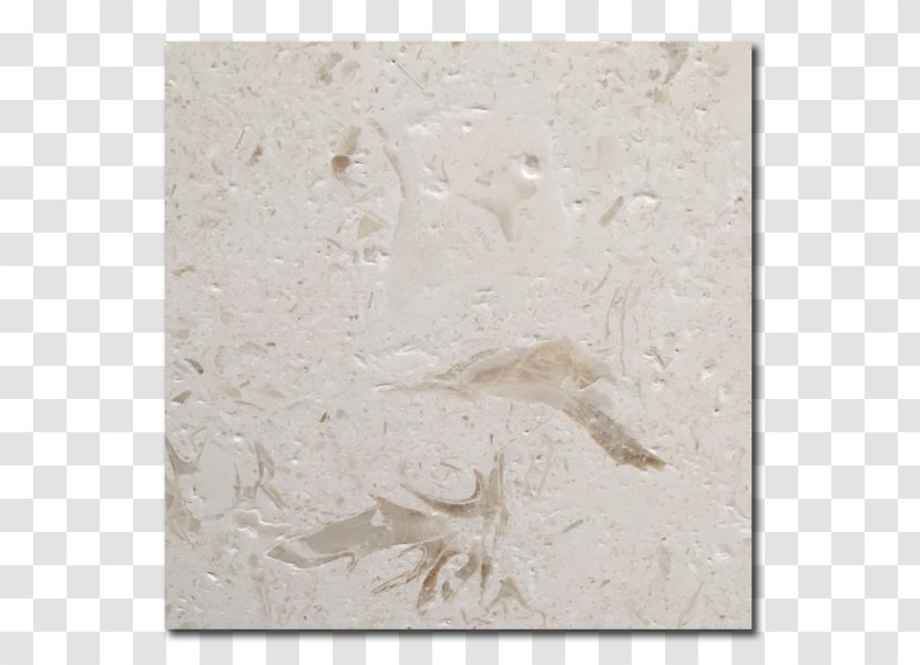 Marble - Texture - Limestone Transparent PNG