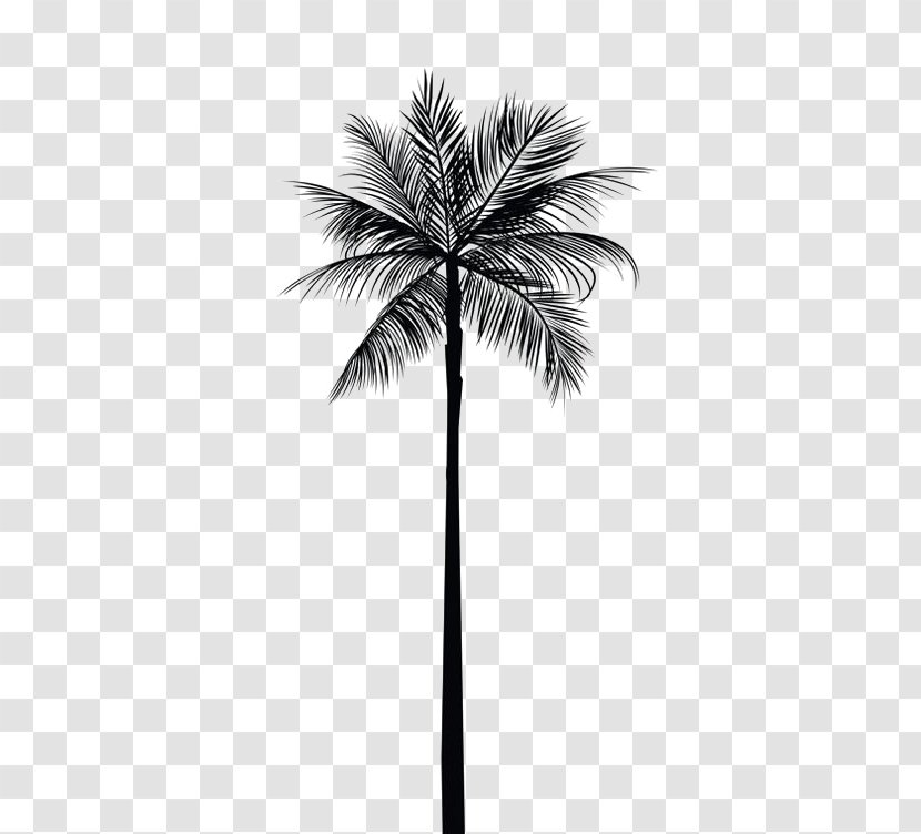 Arecaceae Tree Gold Palm Branch Wall Decal - Date - Black Coconut Transparent PNG