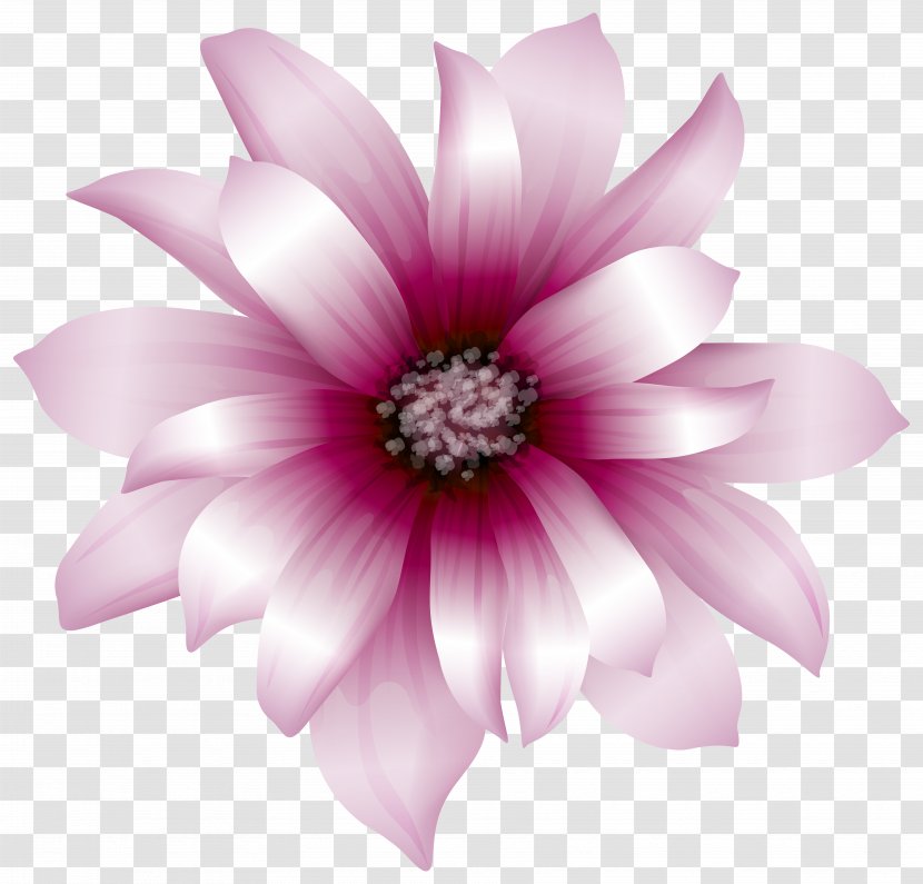 Pink Flowers Clip Art - Cut - Flower Transparent PNG