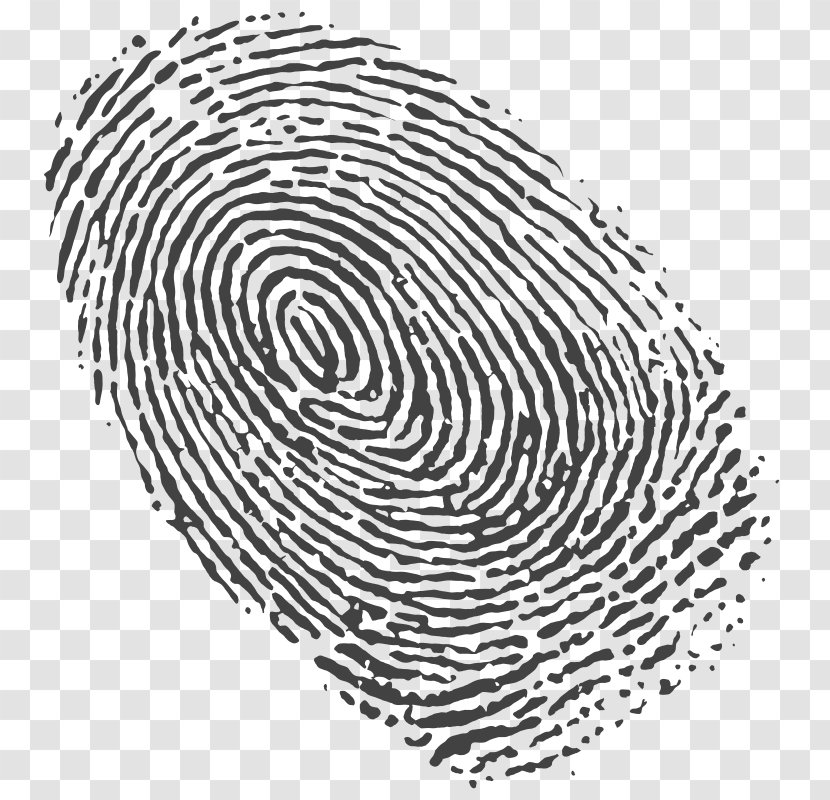 Fingerprint Spiral Clip Art - Drawing - Tree Transparent PNG