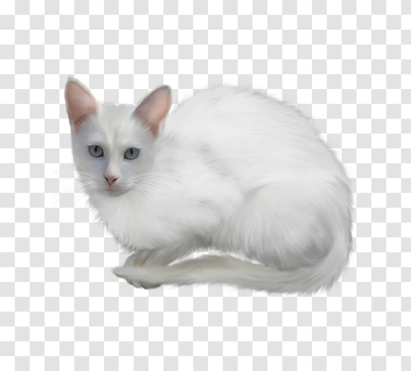 Turkish Angora Clip Art - Paw - White Cat Transparent PNG