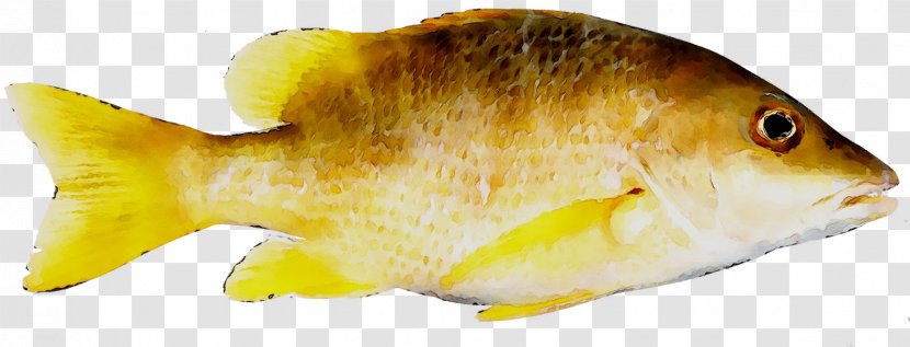 Image Clip Art CMYK Color Model Fish - Yellow Transparent PNG