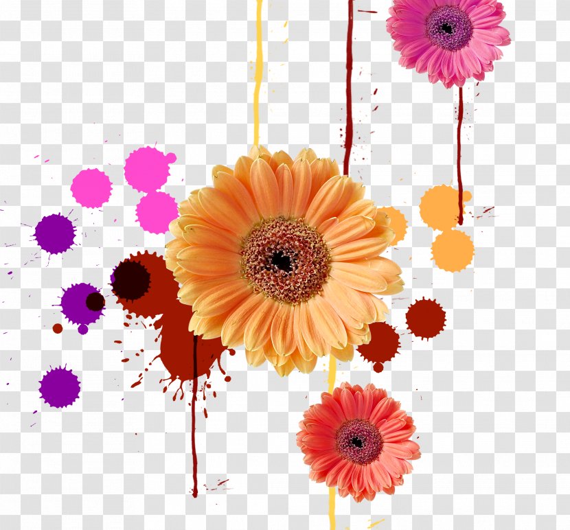 Ink Color Computer File - Texture Mapping - Colorful Splash Chrysanthemum Transparent PNG