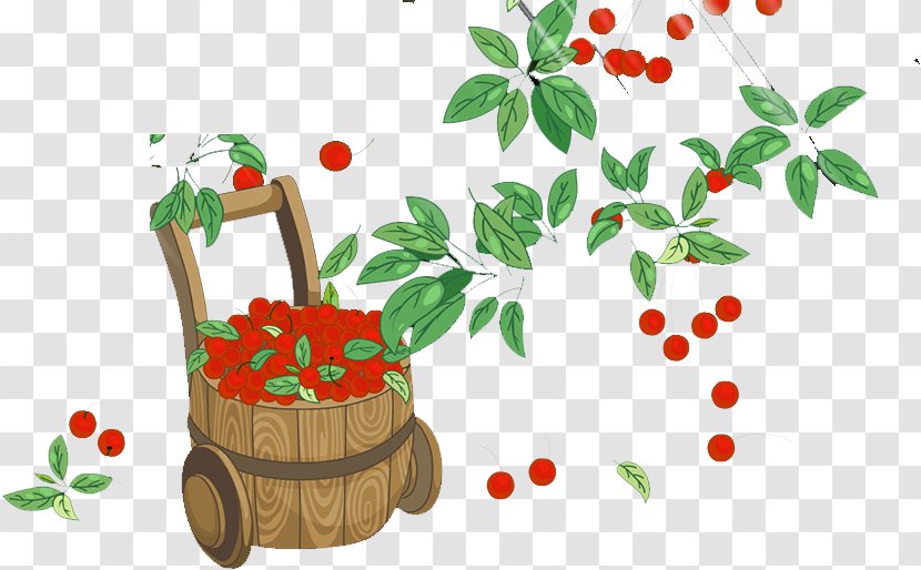 Flowerpot Clip Art - Fruit - Bucket Car Transparent PNG