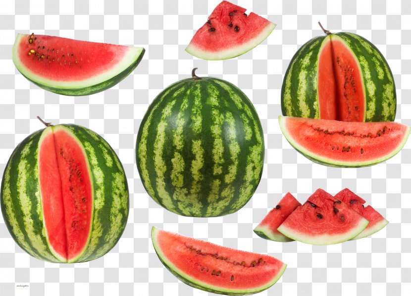 Watermelon Food Auglis White - Cucumber Gourd And Melon Family Transparent PNG