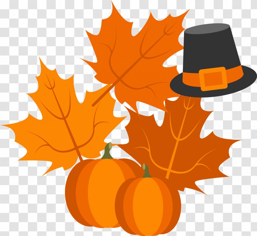 Calabaza Pumpkin Pie Turkey Thanksgiving - Flowering Plant - Leaves With Hat Transparent PNG