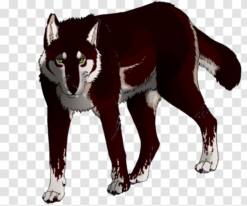 Dog Mammal Canidae Animal Red Wolf - Callous Transparent PNG