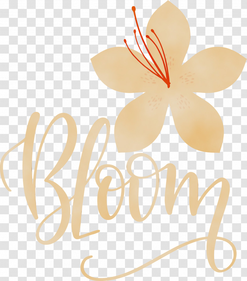 Free Flower Flowerpot Petal Transparent PNG