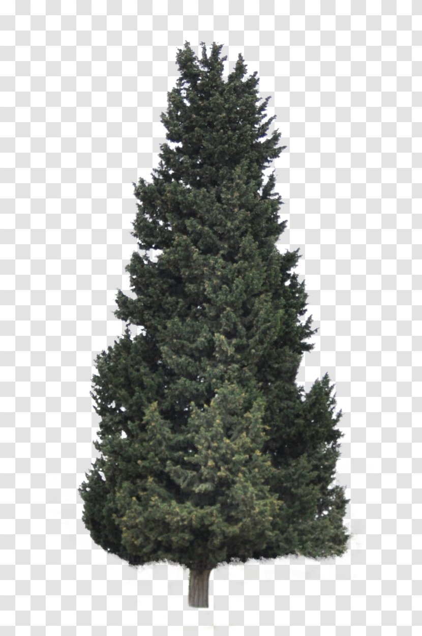 Artificial Christmas Tree Pre-lit Santa Claus - Pine - Coniferous Plants Transparent PNG