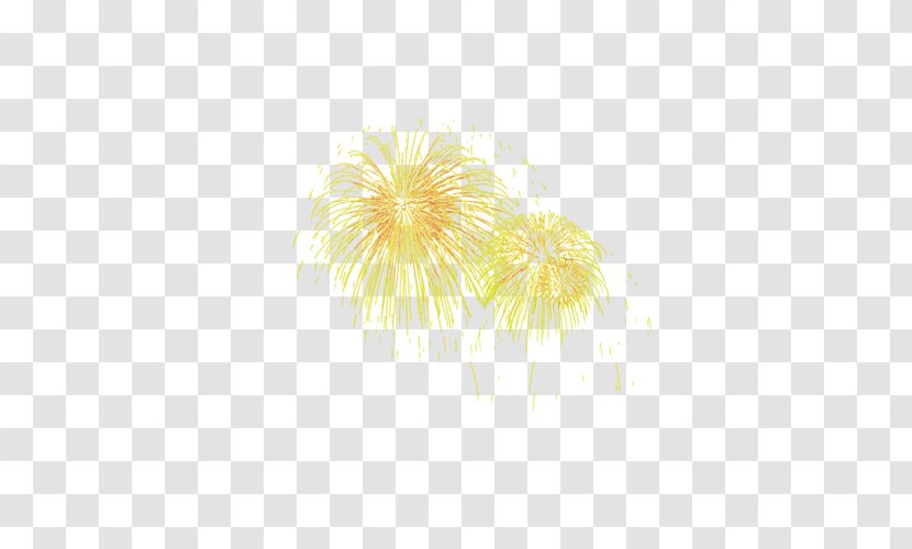 Adobe Fireworks - Petal Transparent PNG