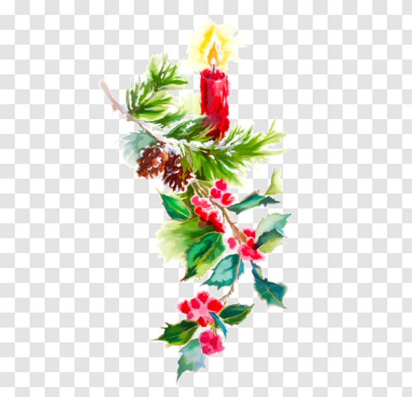 Christmas Tree Branch - Flower - Interior Design Colorado Spruce Transparent PNG