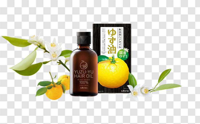 髪油 Citrus Junos Oil Capelli Hair Care Transparent PNG