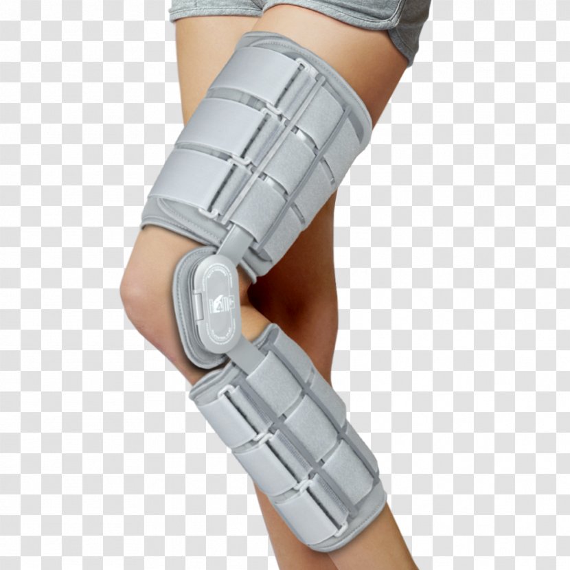 Knee Orthotics Joint Wrist - Cartoon - Campus Of Texas Am University Transparent PNG