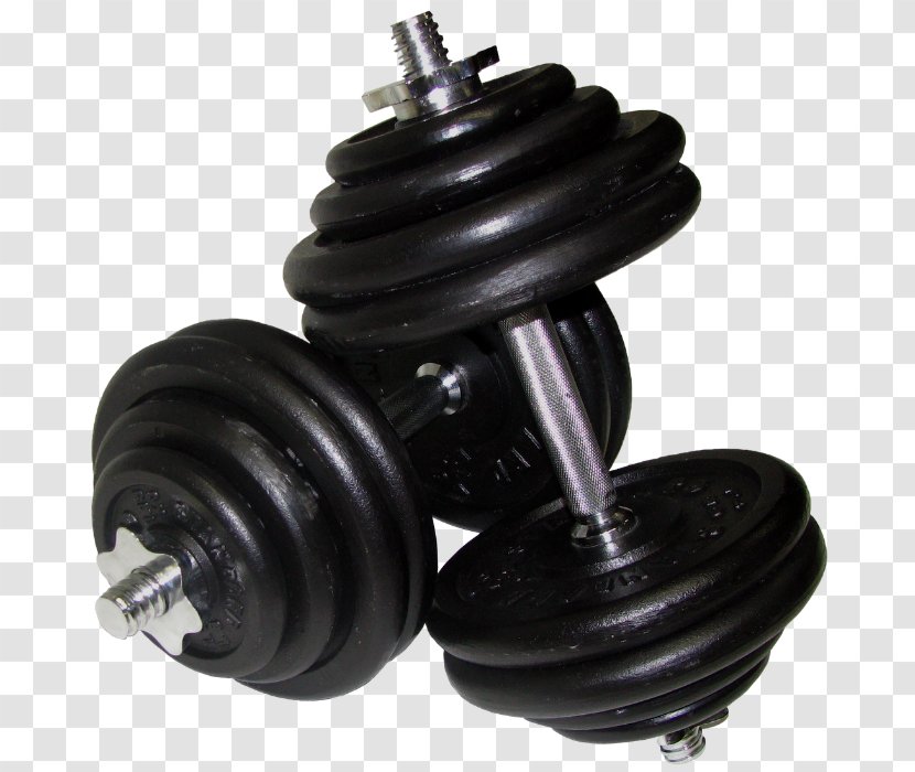 Dumbbell Exercise Equipment Barbell Weight Training - Cartoon Transparent PNG