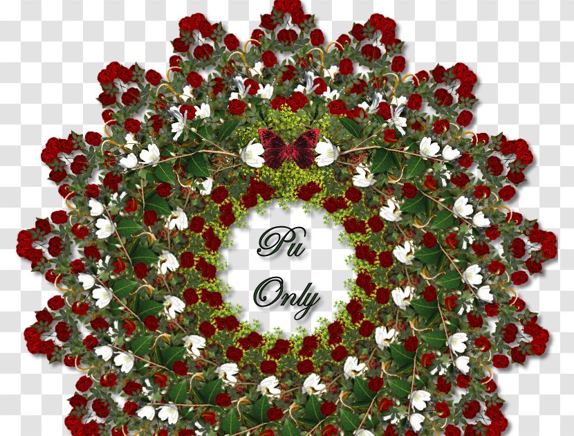 Sociom, Organisatie Voor Sociaal Werk Boxmeer Wreath Cut Flowers - Petal - Butterfly Cluster Transparent PNG