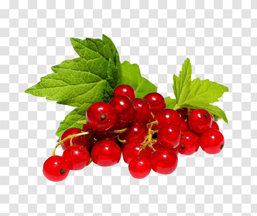 Zante Currant Redcurrant Blackcurrant Berry White - Boysenberry - Sugar Basin Transparent PNG
