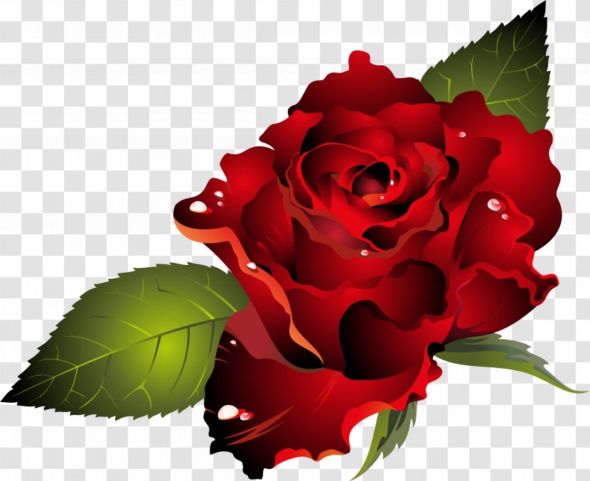 Valentine's Day Dia Dos Namorados Heart Clip Art - Saint Valentine - Red Rose Transparent PNG