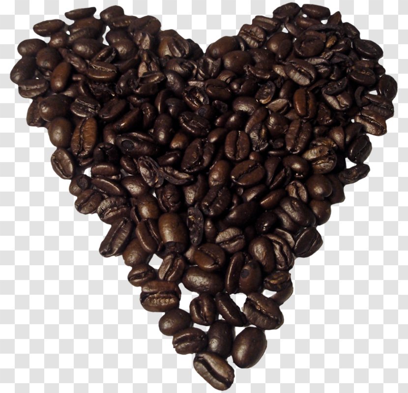 Jamaican Blue Mountain Coffee Tea Cafe Caffeine - Beans Transparent PNG