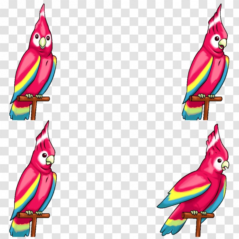 Parrot Beak Clip Art - Bird Transparent PNG