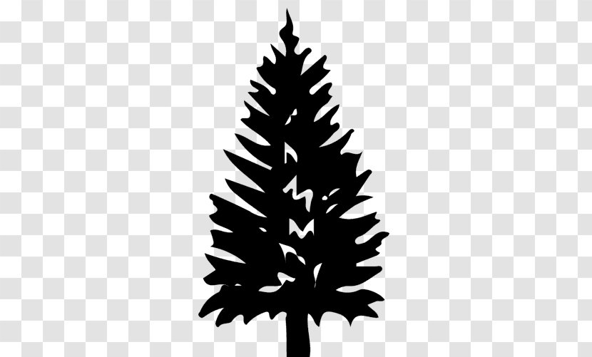 Black And White Flower - Christmas Tree - Blackandwhite Cypress Family Transparent PNG