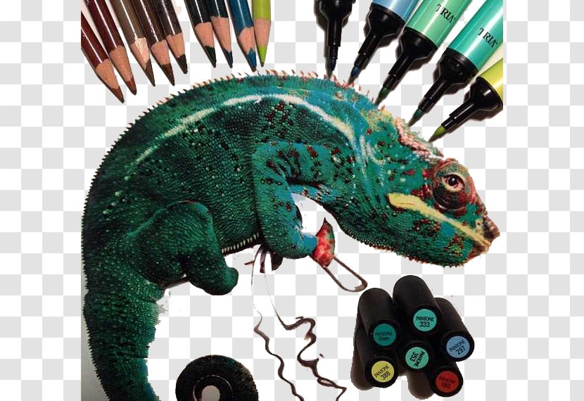 Drawing Hyperrealism Artist Colored Pencil - Painting - Chameleon Color Pen Transparent PNG