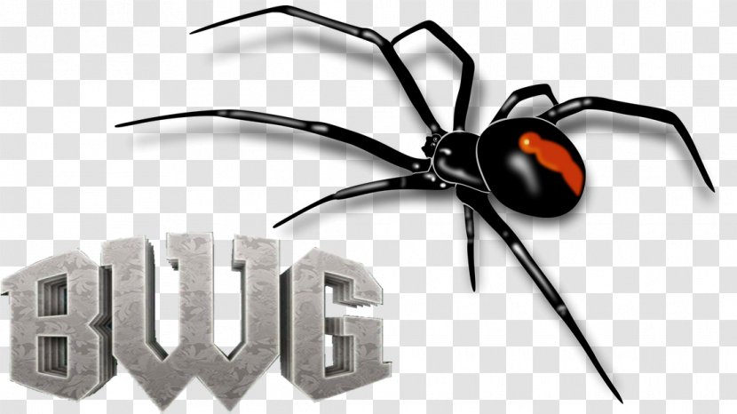 Redback Spider Red-back Arthropod Black House Transparent PNG