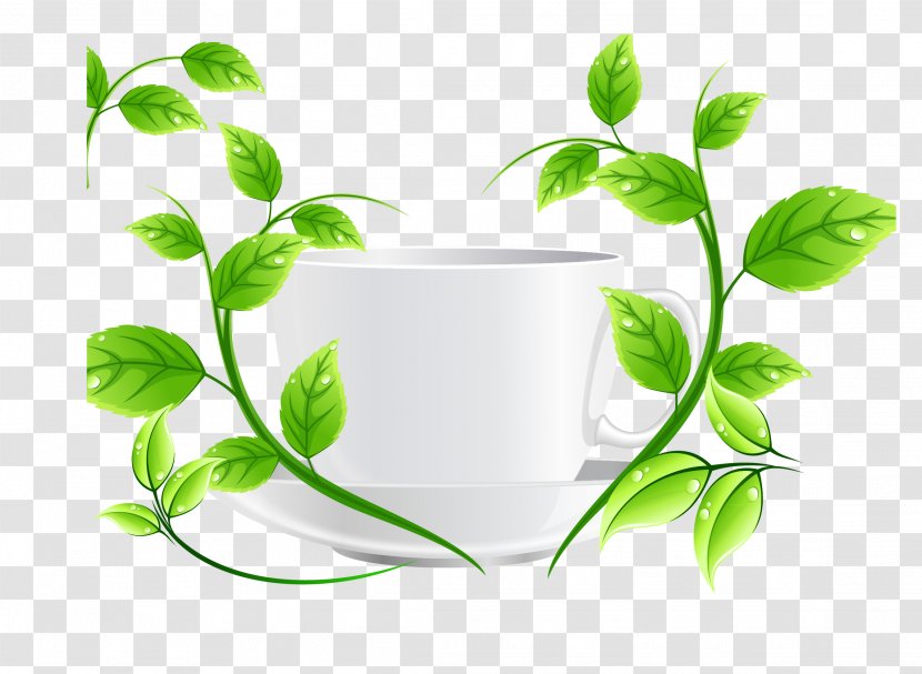 Green Tea Euclidean Vector - Flowerpot - Mug Transparent PNG