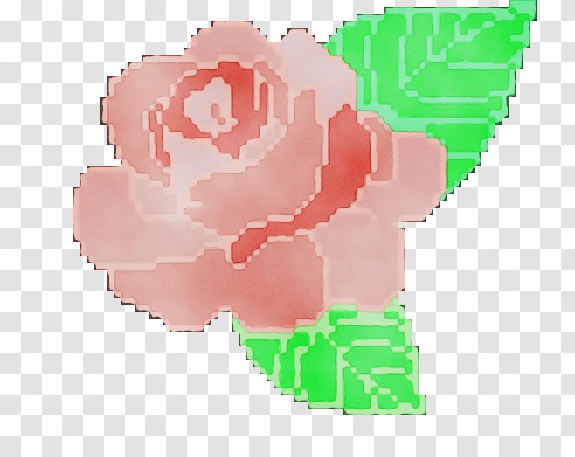 Rose - Carnation - Petal Transparent PNG