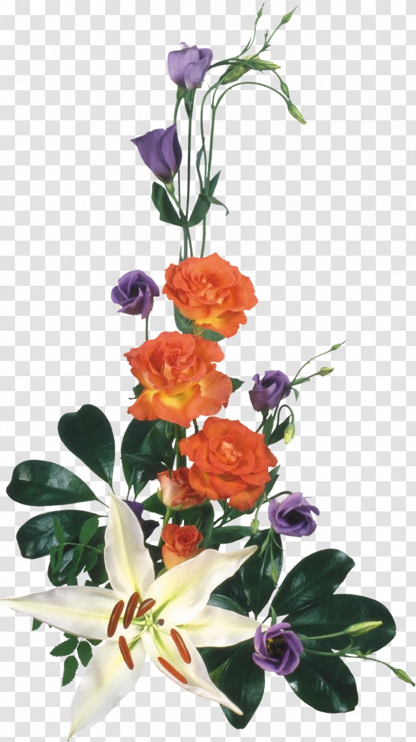 Floral Design Flower Bouquet Clip Art - Rose Order Transparent PNG