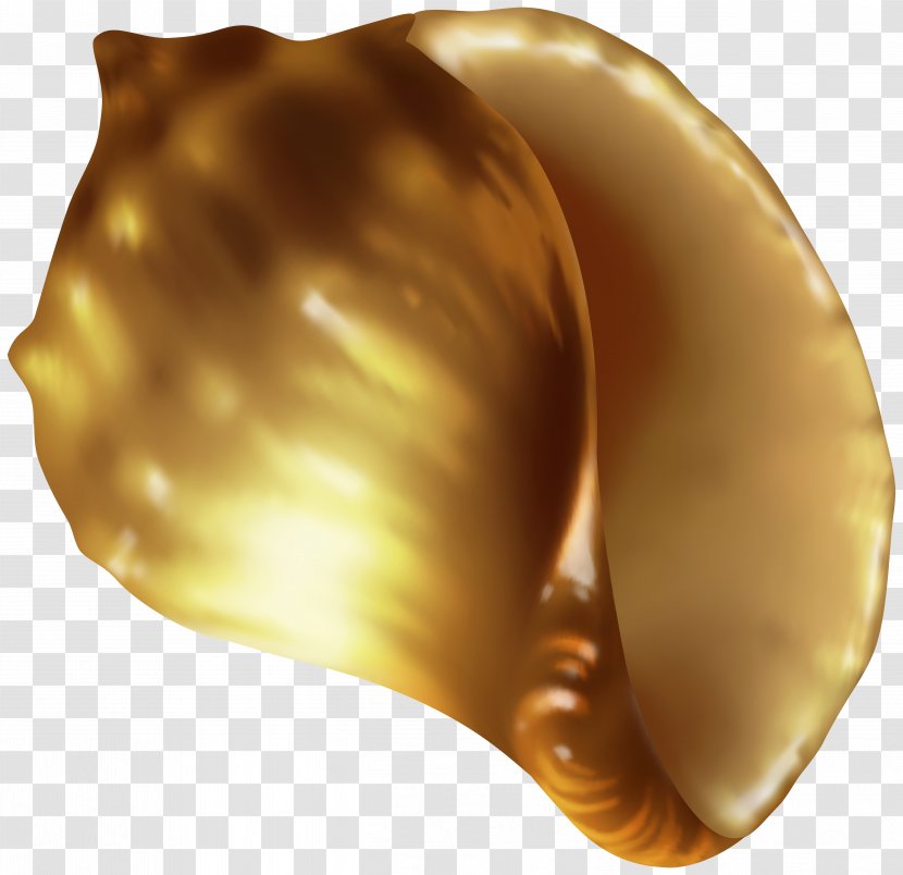 Clip Art - Caramel Color - Rapana Shell Image Transparent PNG