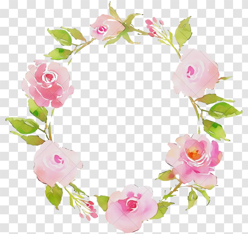 Rose - Petal - Hair Accessory Transparent PNG