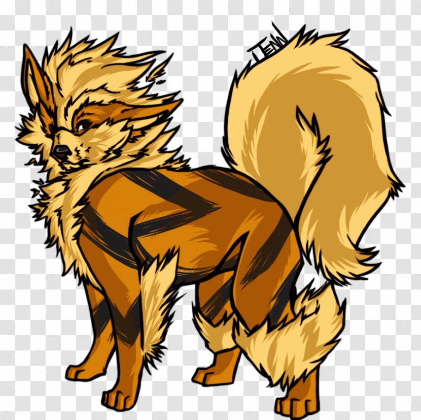 Red Fox Dog Cat Canidae Snout - Lion Transparent PNG