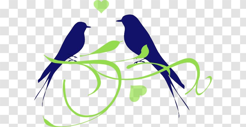 Lovebird Clip Art - Beak - Birds-wedding Transparent PNG