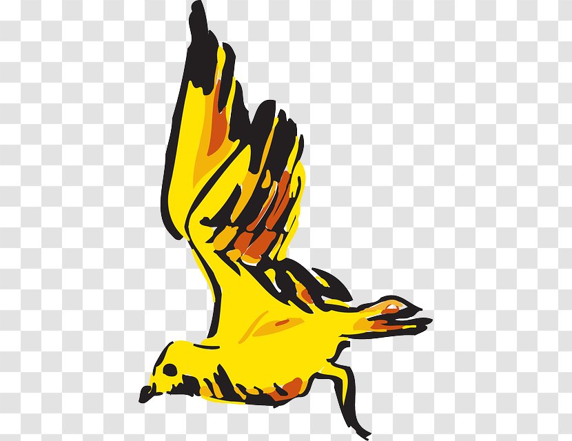 Bird Goose Beak Yellow Clip Art - Organism Transparent PNG
