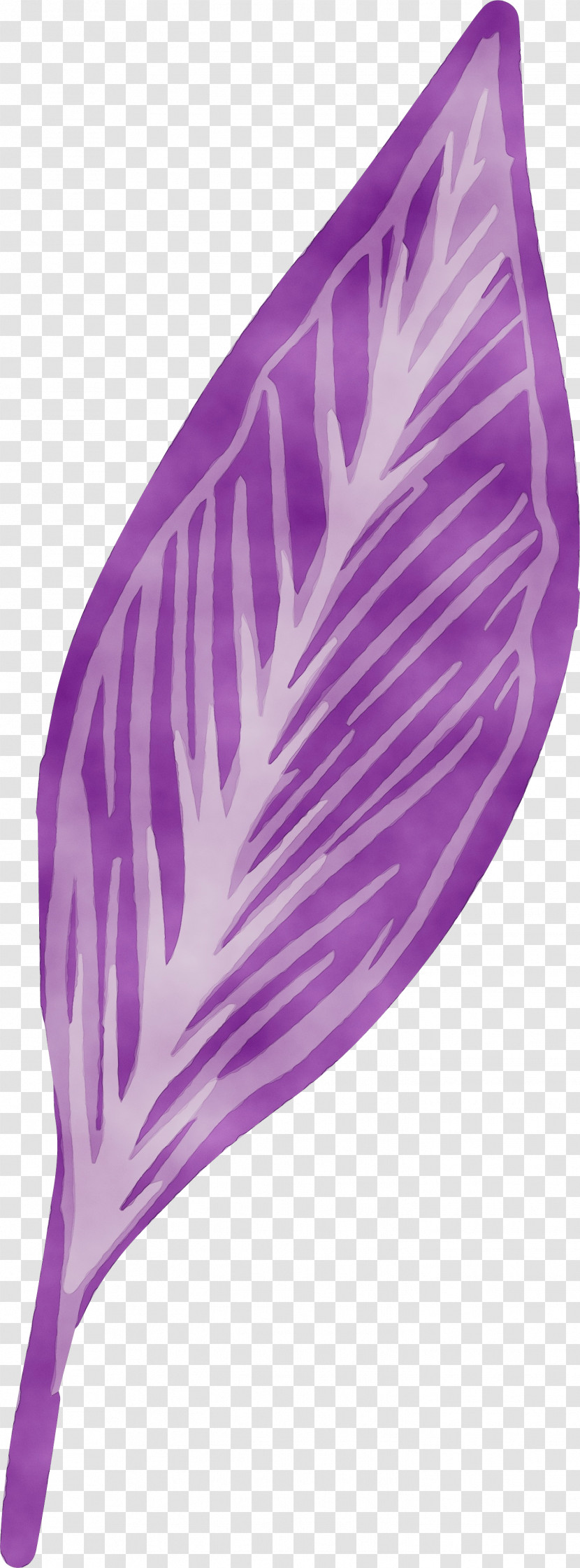 Purple Transparent PNG