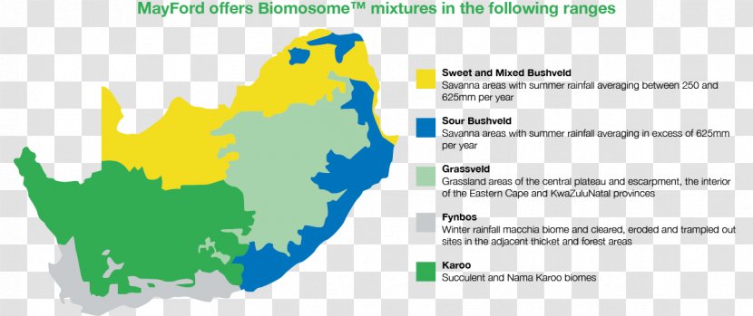 Bushveld South Africa Map Ecoregion Transparent PNG