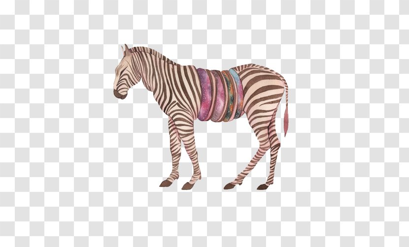 Quagga Zebra Icon - Illustrator Transparent PNG