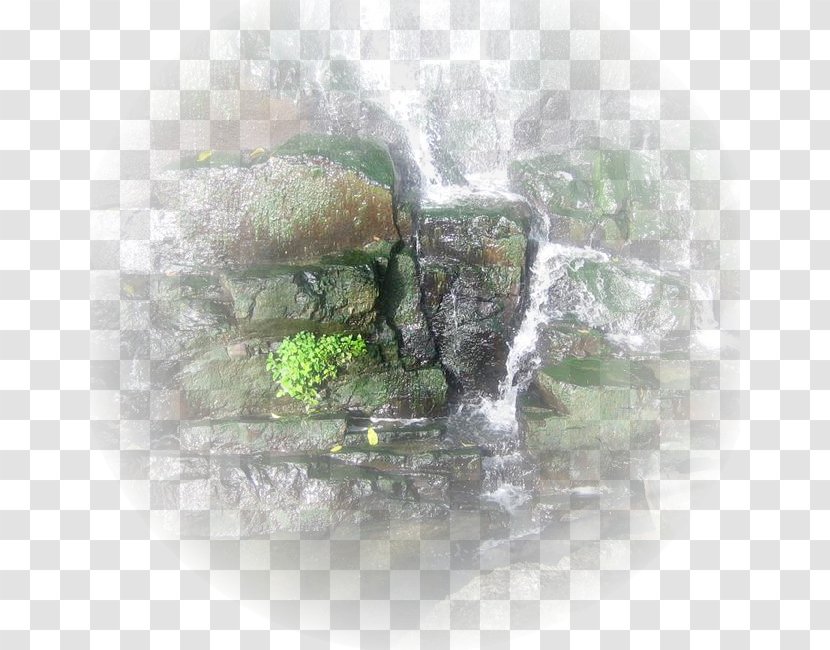 Water Resources Desktop Wallpaper Tree Feature - Computer - Hu Transparent PNG