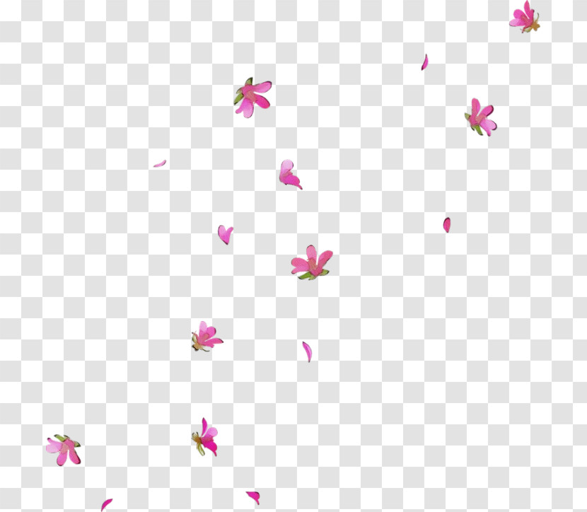 Floral Design Transparent PNG