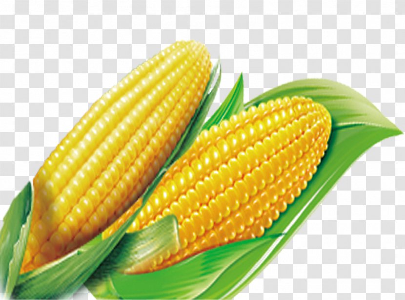 Corn On The Cob Download Computer File - Sweet Transparent PNG