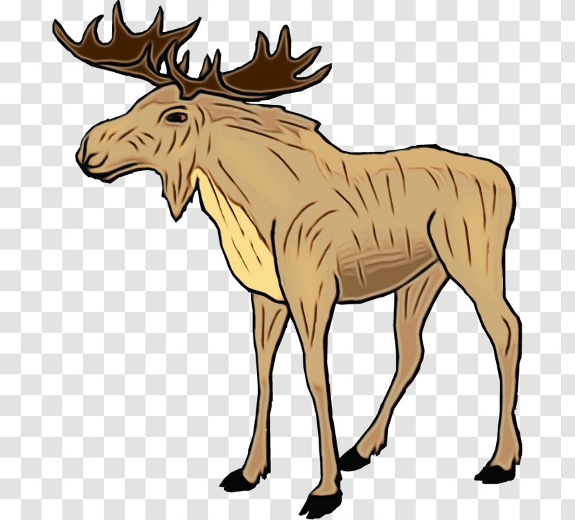 Reindeer - Line Art - Terrestrial Animal Transparent PNG